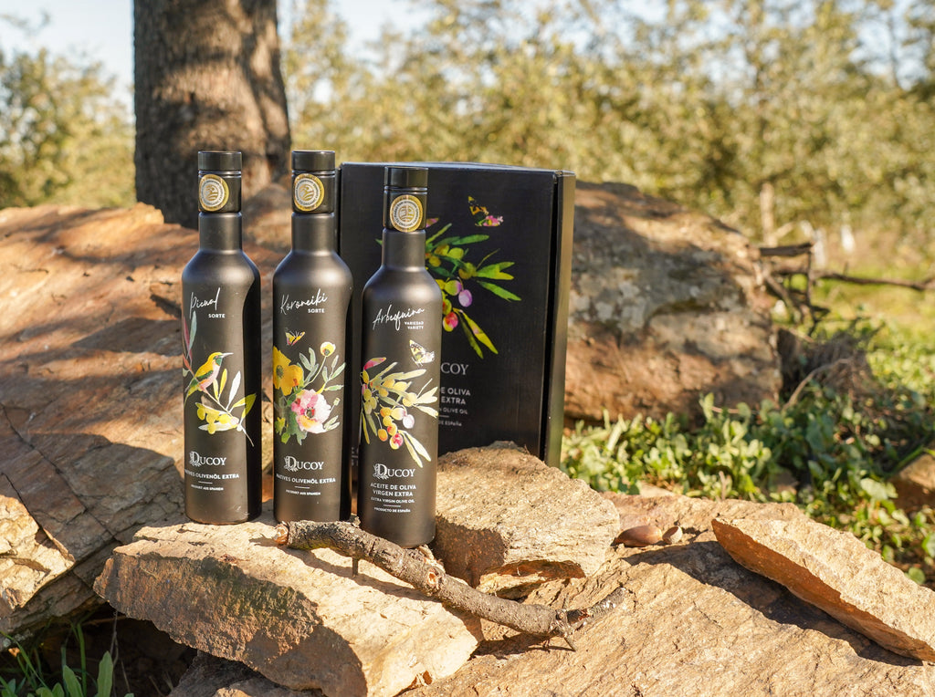 Descubre el arte de maridar Aceite de Oliva Virgen Extra