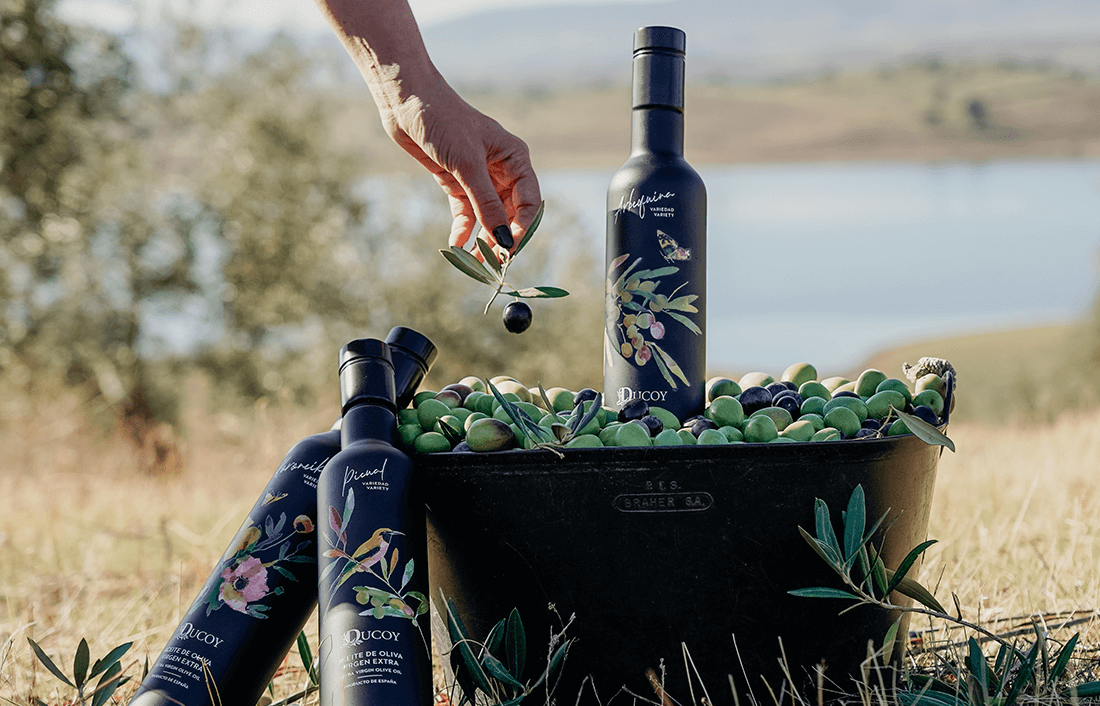 Descubre qué es el frutado del aceite de oliva, su importancia y tipos