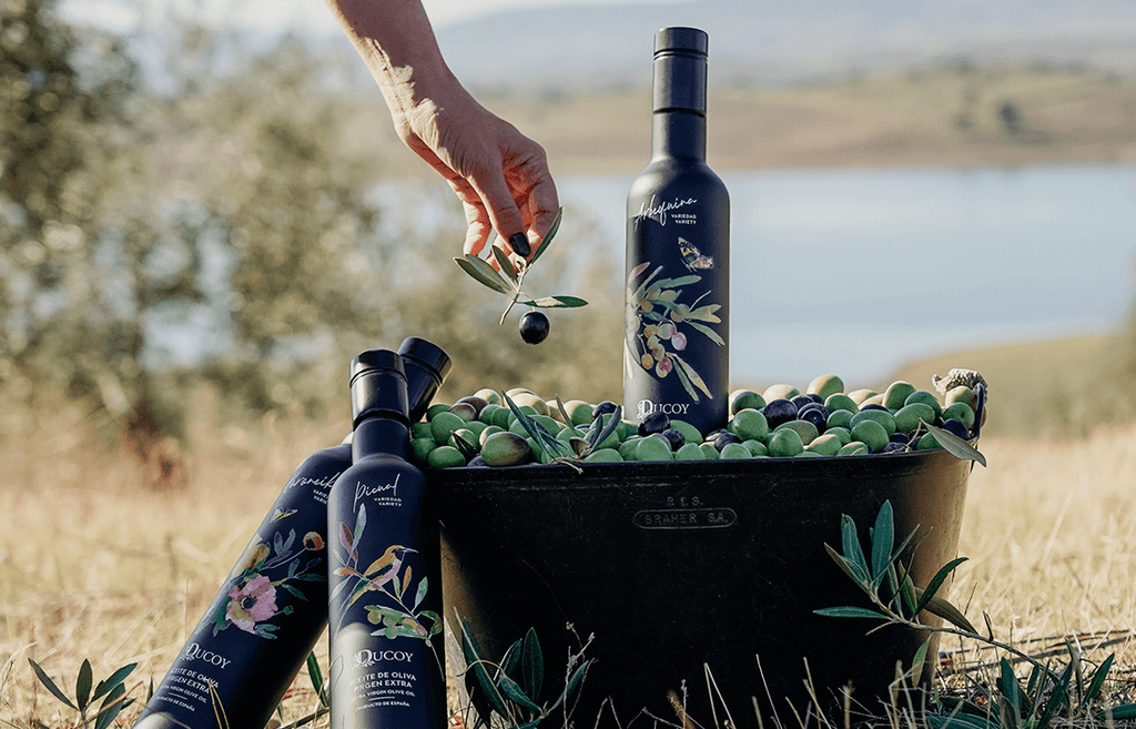 Descubre qué es el frutado del aceite de oliva, su importancia y tipos