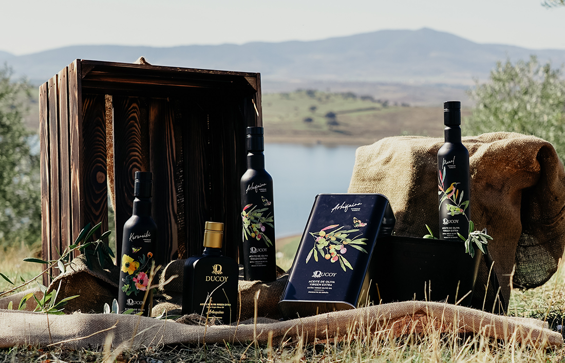 Picual, Arbequina y Koroneiki: diferencias entre cada variedad