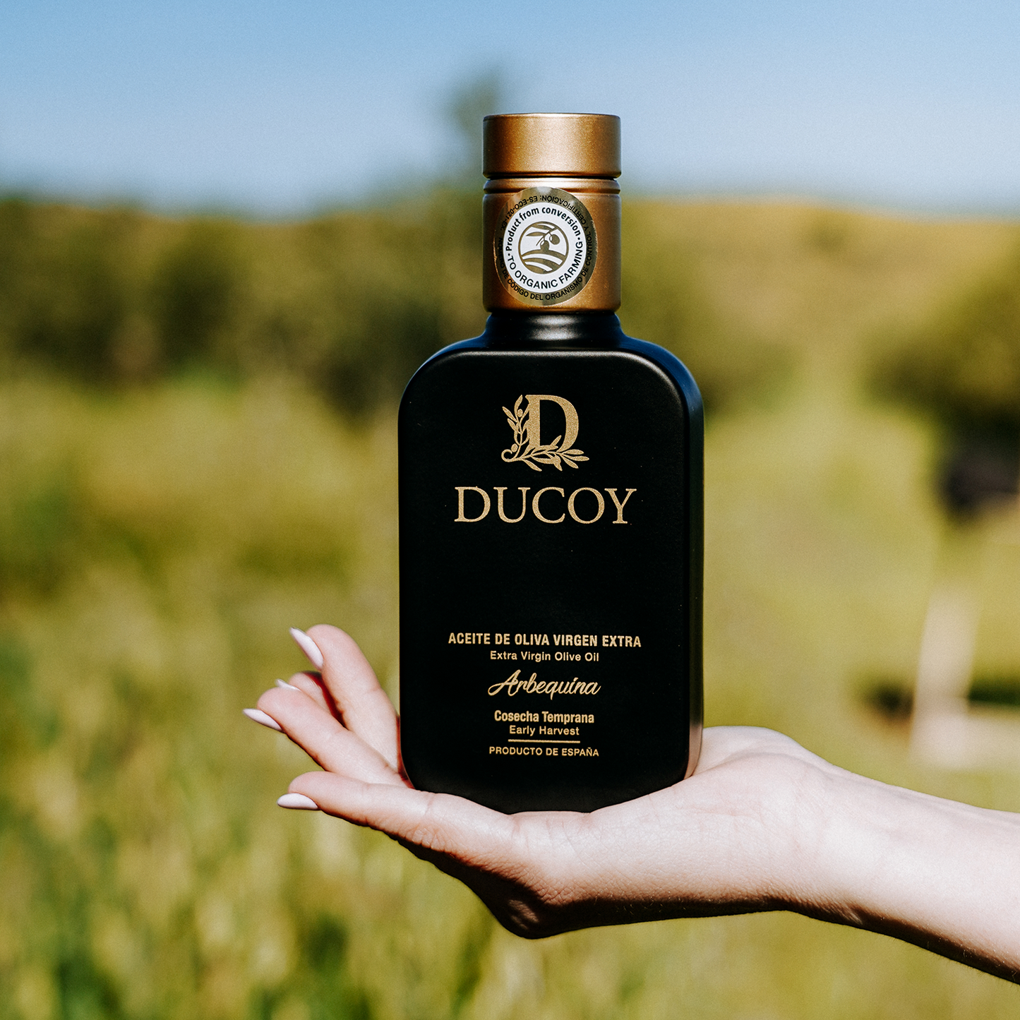 Extra Virgin Olive Oil bottle 250 ml 